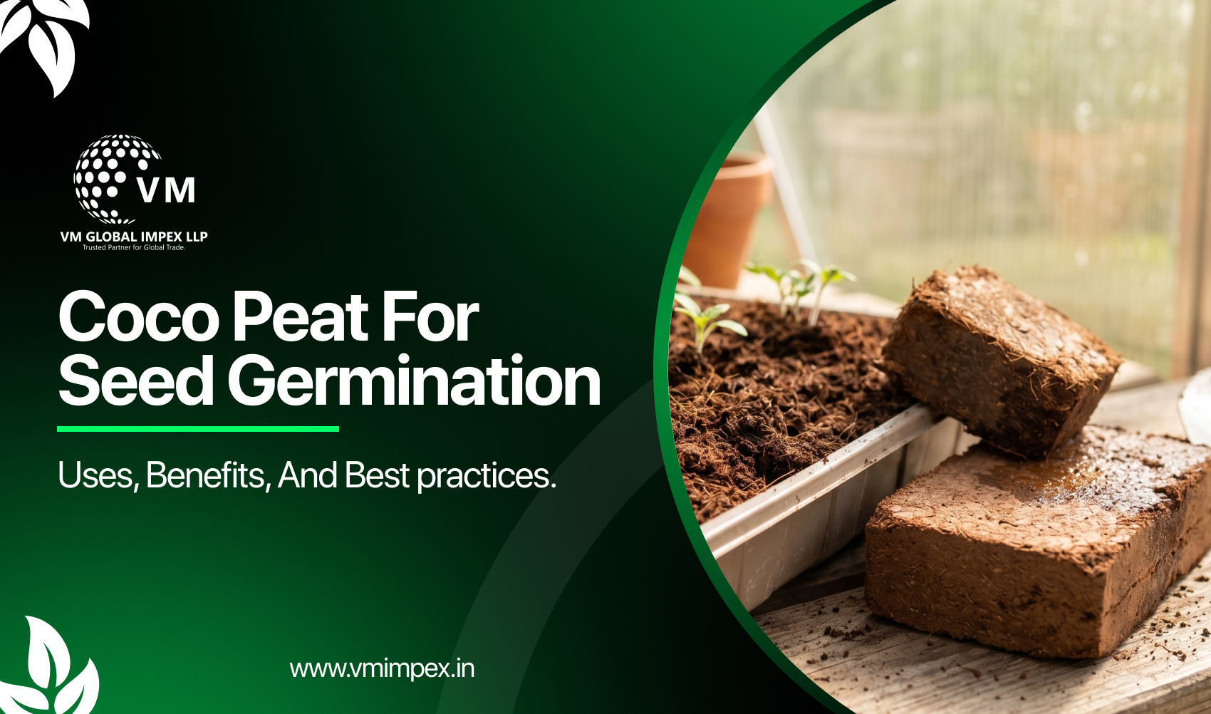 Coco Peat for Seed Germination: Uses, Benefits, and Best Practices