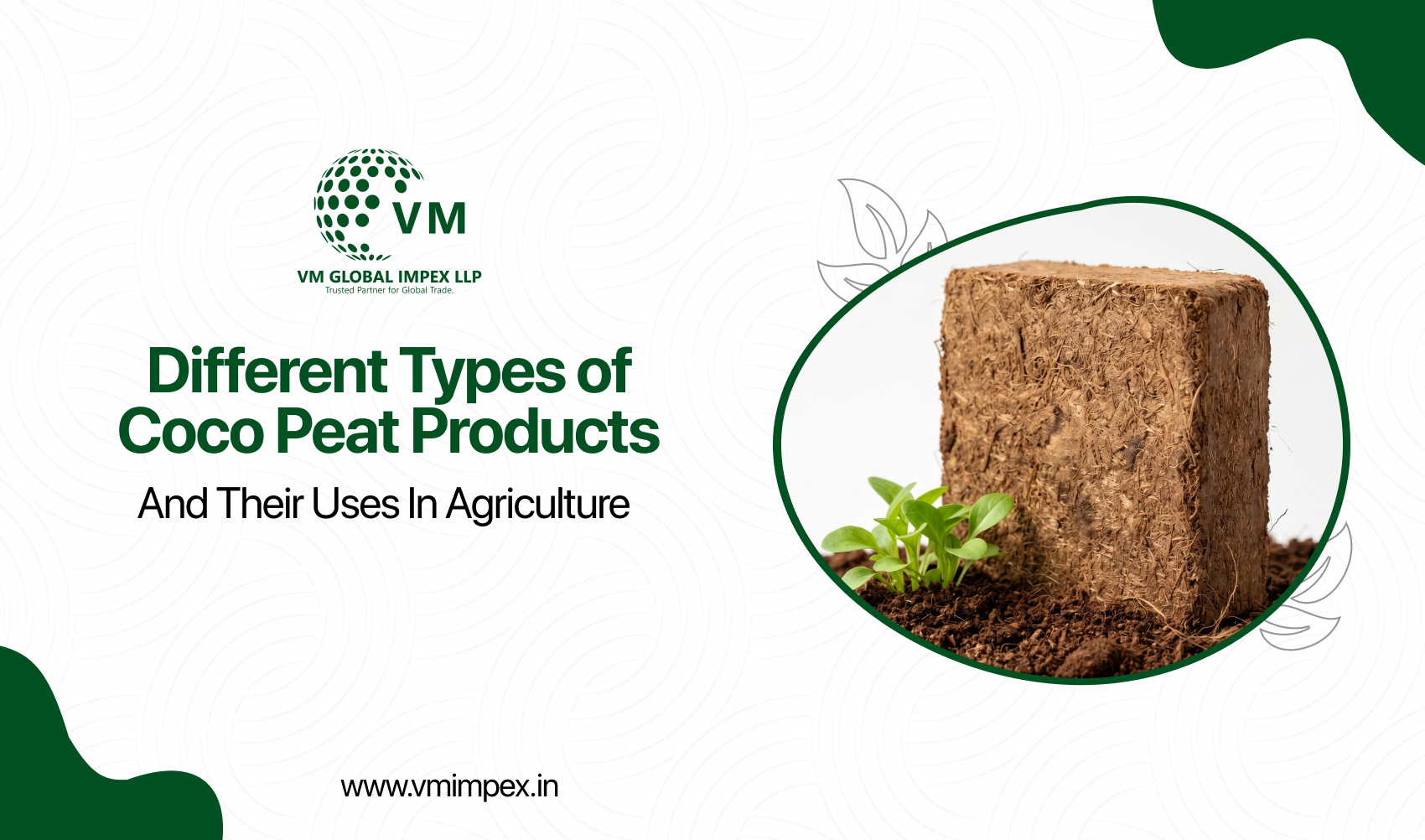 Different Types of Coco Peat Products and Their Uses in Agriculture