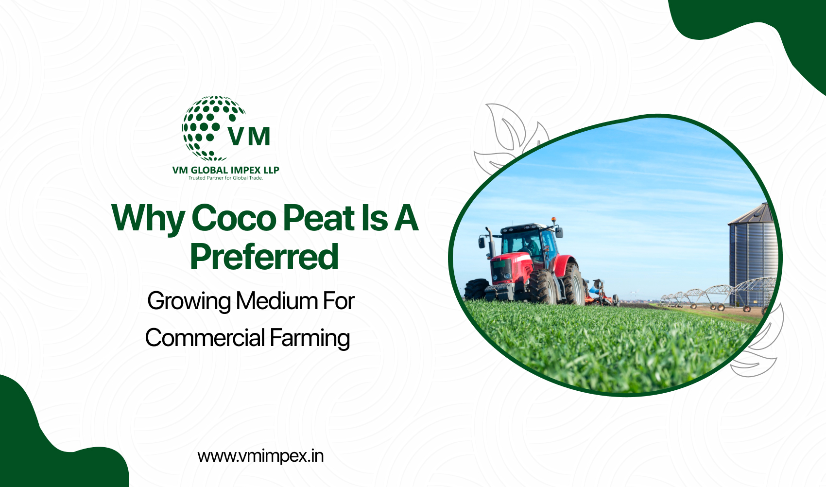 Why Coco Peat Is a Preferred Growing Medium for Commercial Farming