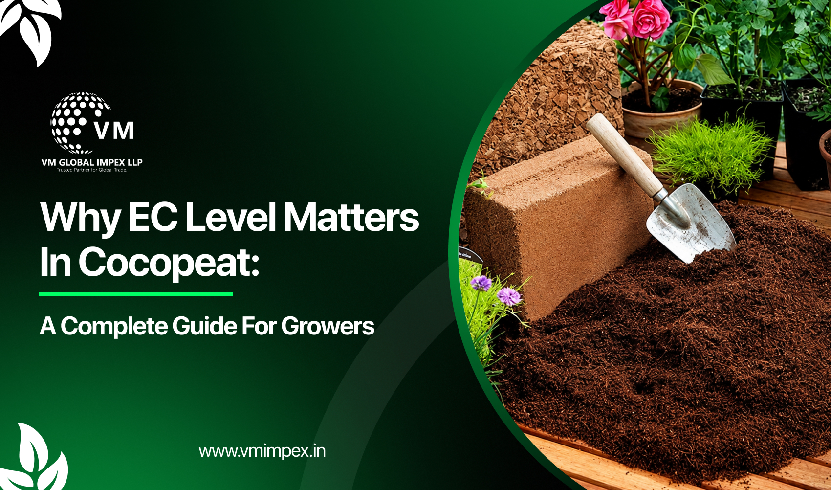 Why EC Level Matters in Cocopeat: A Complete Guide for Growers