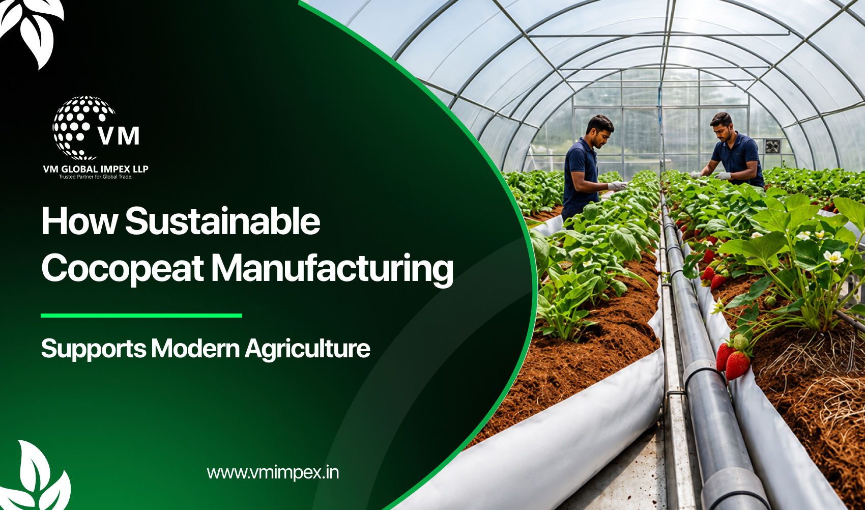 How Sustainable Cocopeat Manufacturing Supports Modern Agriculture