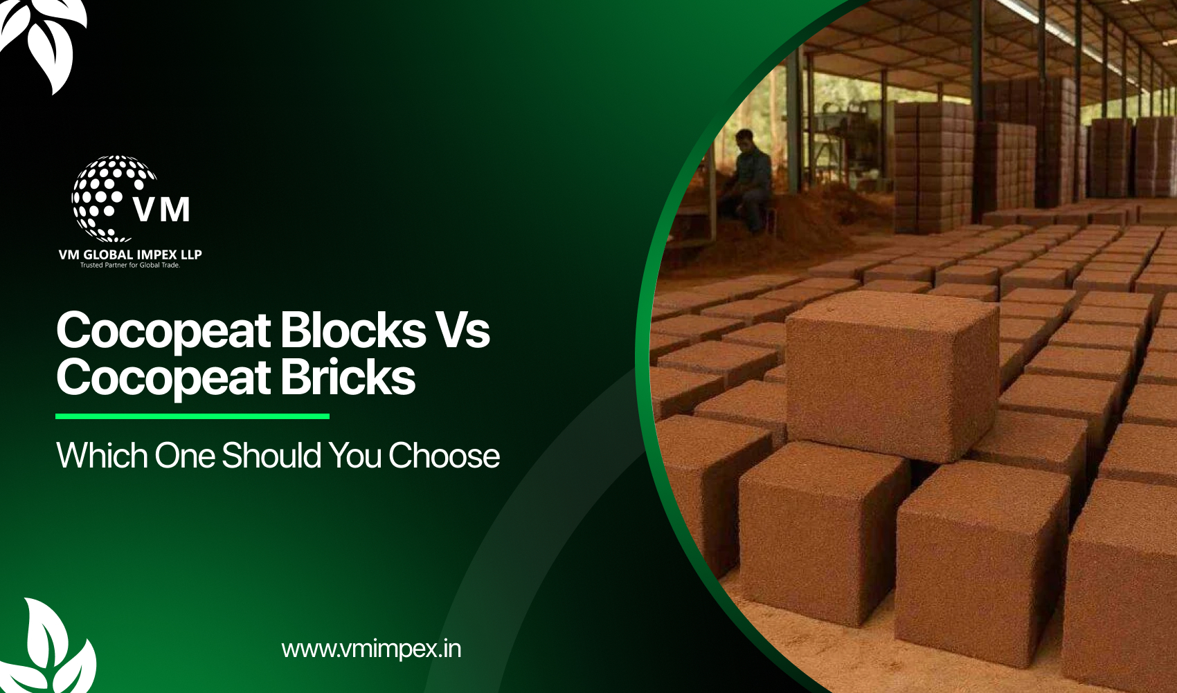 Cocopeat Blocks vs Cocopeat Bricks: Which One Should You Choose?